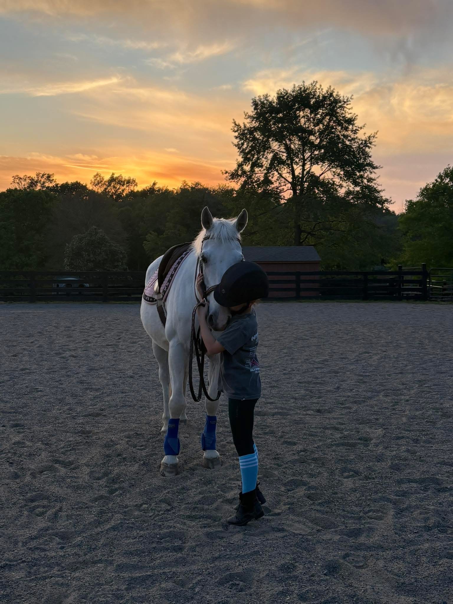 A young rider hugging Teddy, a grey school horse, in the ring at sunset at Brentsville Stables.